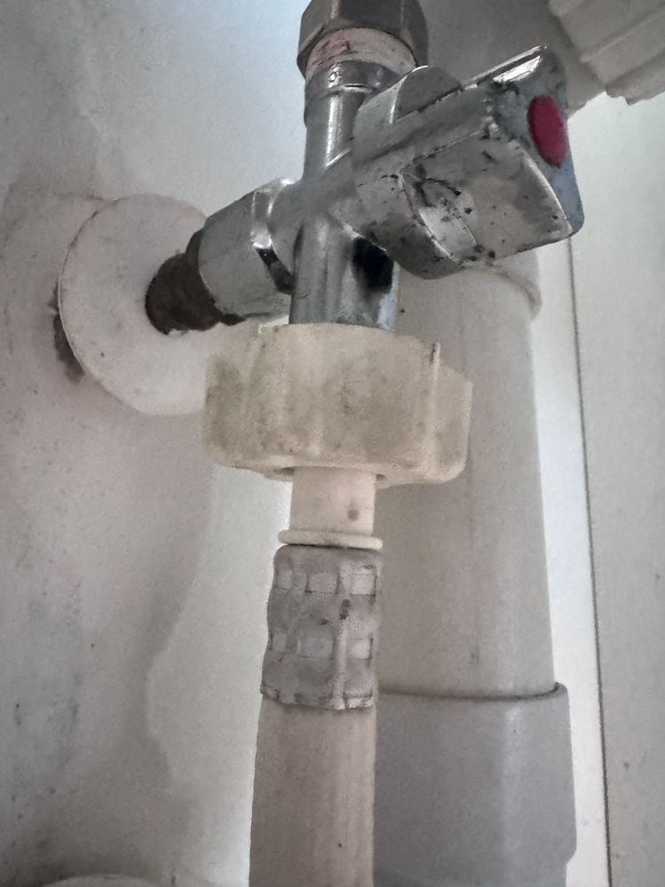 IMG_7610.JPG IMG_7610.JPG