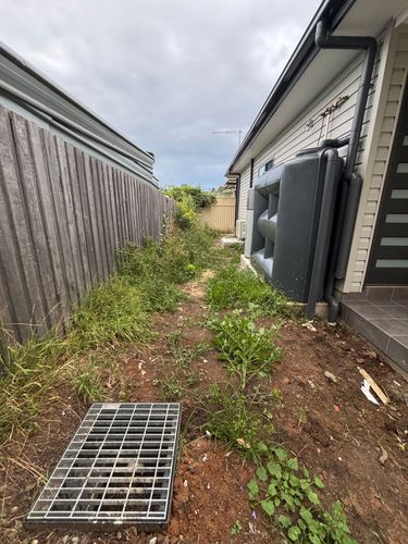 IMG_2024.jpeg IMG_2024.jpeg