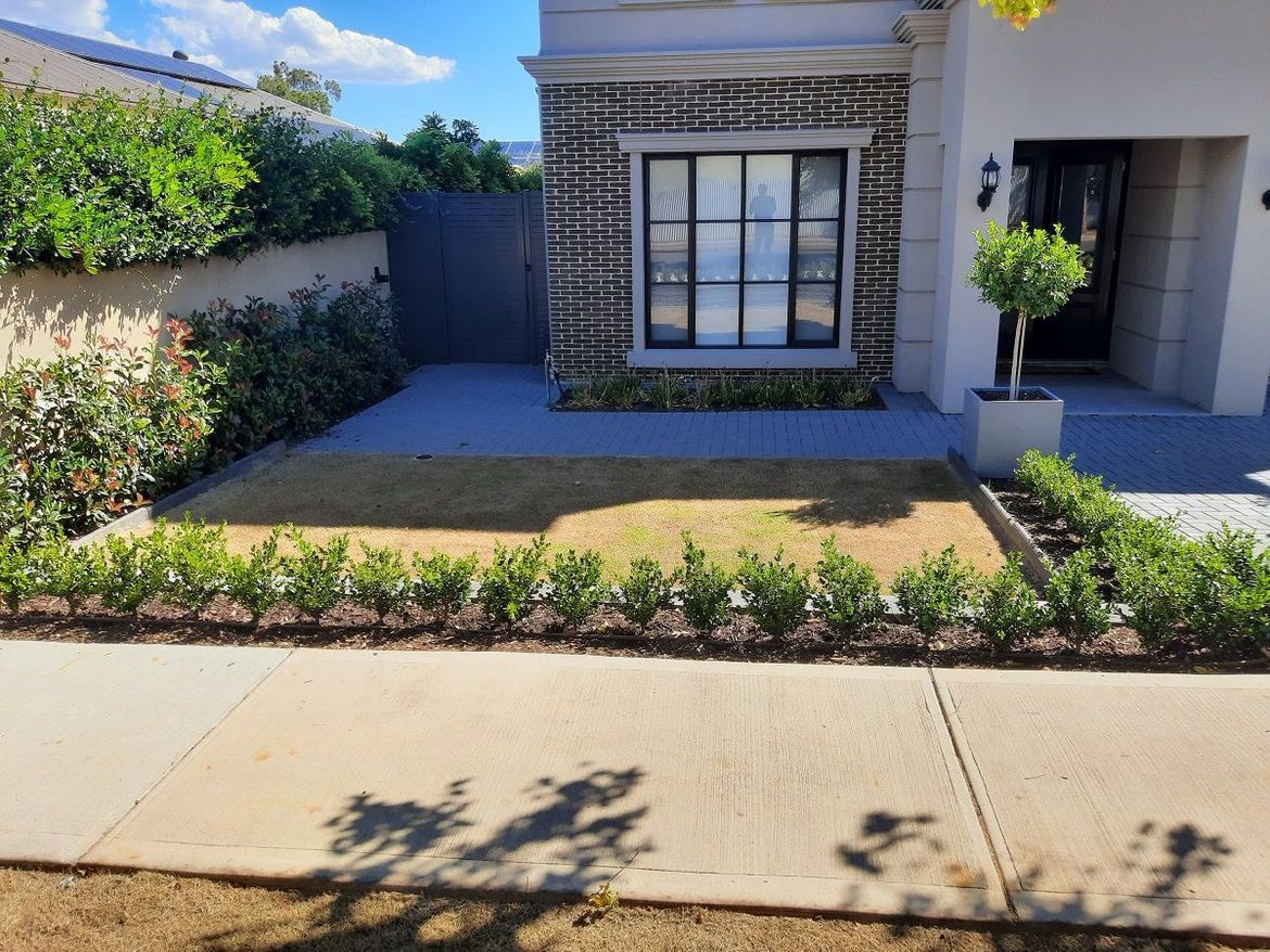 20220130_163623.jpg 20220130_163623.jpg