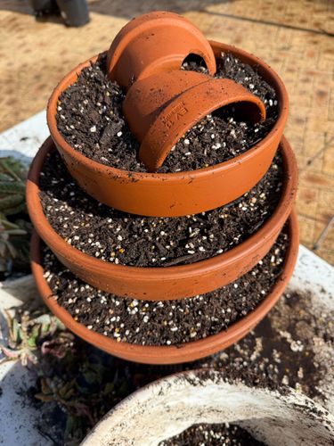 IMG_1245.jpeg IMG_1245.jpeg