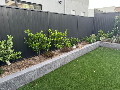 IMG_2612.jpeg IMG_2612.jpeg