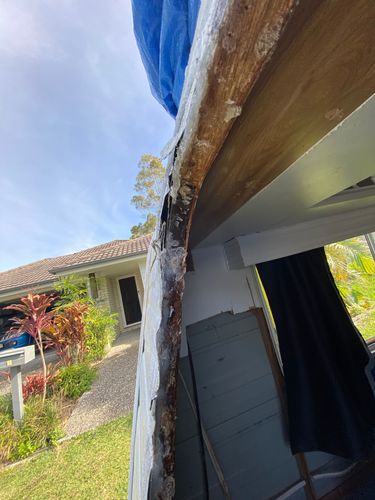 IMG_0036.jpeg IMG_0036.jpeg