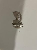 Image (1).jpg Image (1).jpg