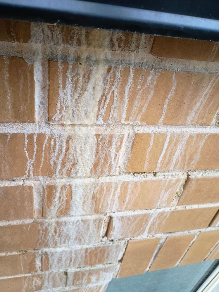 IMG_20250111_105221791_AE.jpg IMG_20250111_105221791_AE.jpg