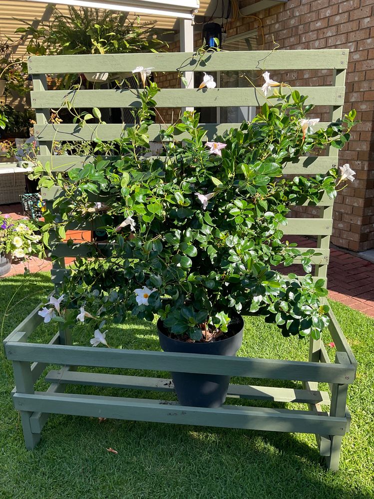 IMG_3937.jpeg IMG_3937.jpeg