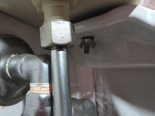 1000061149.jpg 1000061149.jpg