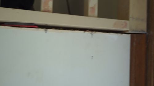 1000004680.jpg 1000004680.jpg