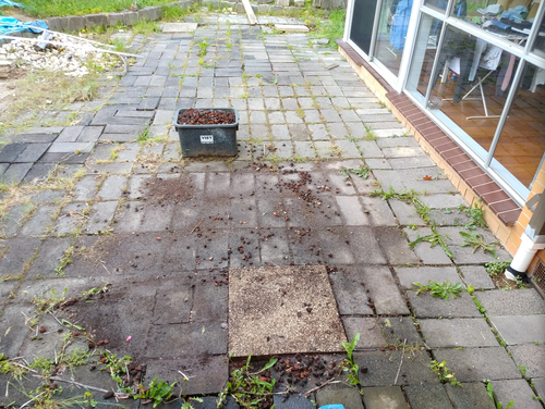 blt_0-1679986087811.png blt_0-1679986087811.png