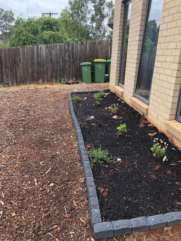 IMG_7638 (1).jpg IMG_7638 (1).jpg