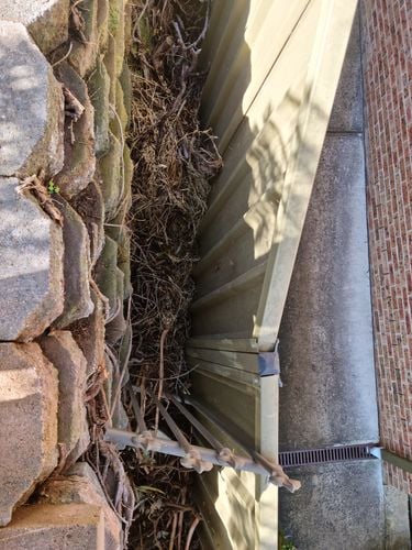 1000010774.jpg 1000010774.jpg