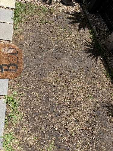 IMG_3105.jpeg IMG_3105.jpeg