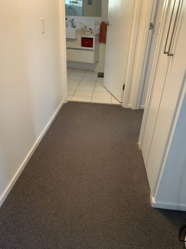 IMG_1772.jpeg IMG_1772.jpeg