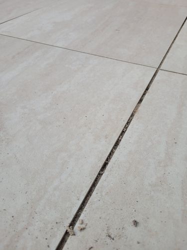 1000007875.jpg 1000007875.jpg