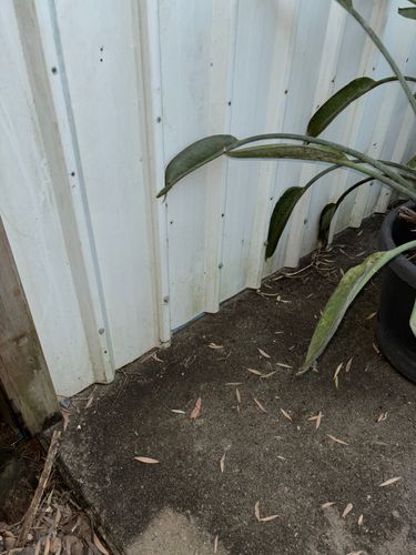 IMG_0499.jpeg IMG_0499.jpeg