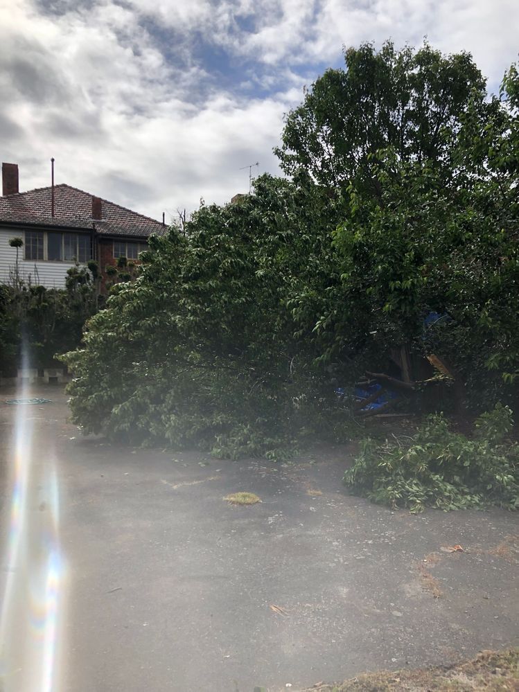 IMG_1503.jpg IMG_1503.jpg