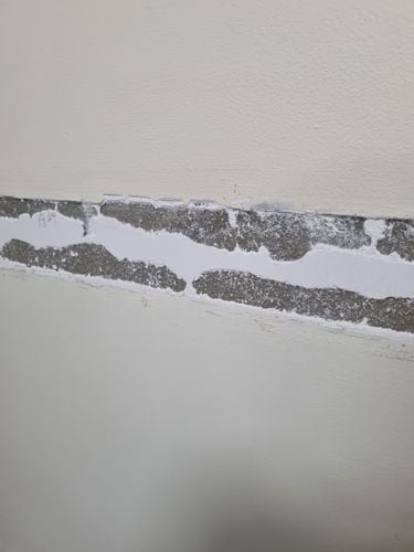 1000050360.jpg 1000050360.jpg