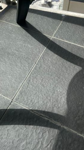 IMG_6299.jpeg IMG_6299.jpeg