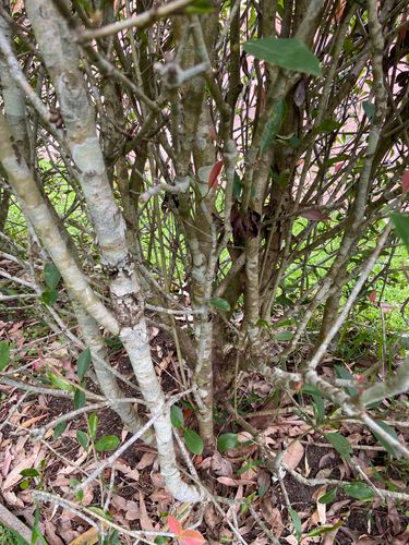 IMG_2961.jpeg IMG_2961.jpeg