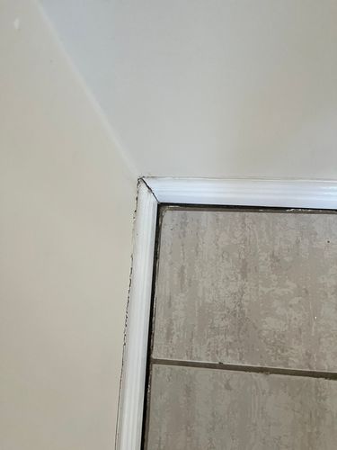 IMG_2173.jpeg IMG_2173.jpeg