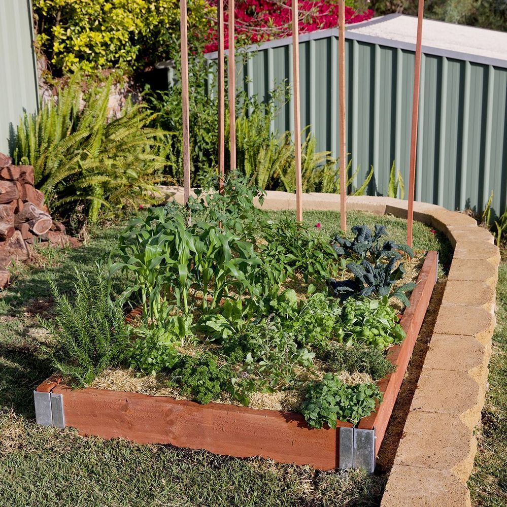 simple raised garden bed.jpg simple raised garden bed.jpg