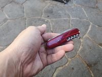 20210704_140205.jpeg 20210704_140205.jpeg