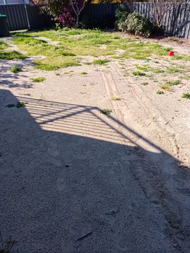 IMG20200826145421.jpg IMG20200826145421.jpg