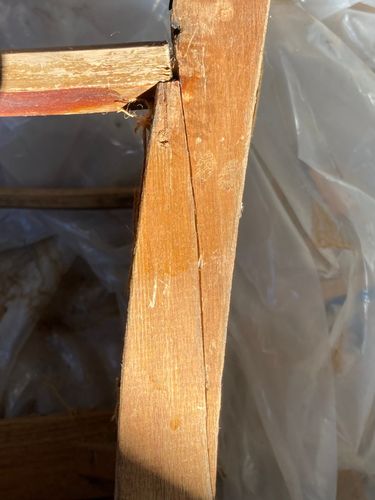 IMG_6198.jpeg IMG_6198.jpeg