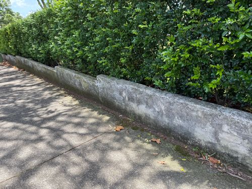 IMG_0515.jpeg IMG_0515.jpeg