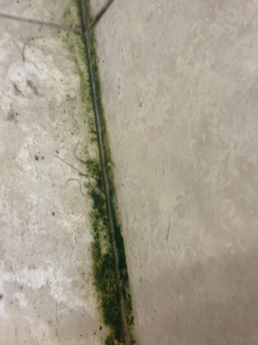 IMG_8278.jpeg IMG_8278.jpeg