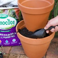 Step 4.1 Add potting mix to the sides of the pots.jpg Step 4.1 Add potting mix to the sides of the pots.jpg