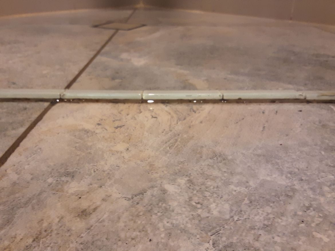 20210709_121514.jpg 20210709_121514.jpg