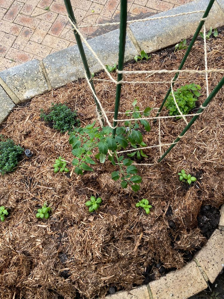 IMG_0886.jpeg IMG_0886.jpeg