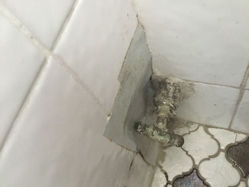 39E908D4-8DAD-4A03-83F6-91F1402F4851.jpeg 39E908D4-8DAD-4A03-83F6-91F1402F4851.jpeg