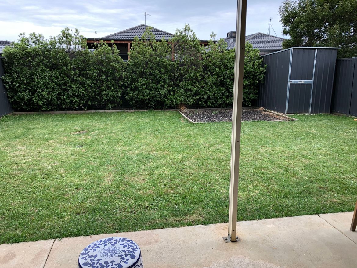 IMG_0740.jpg IMG_0740.jpg