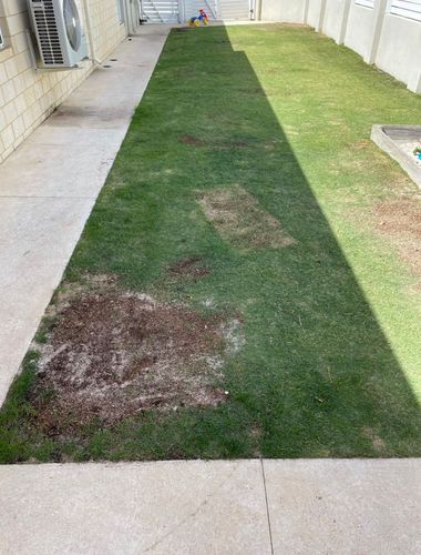 D9C447DB-FBCD-464D-8537-36542D7B6472.jpeg D9C447DB-FBCD-464D-8537-36542D7B6472.jpeg