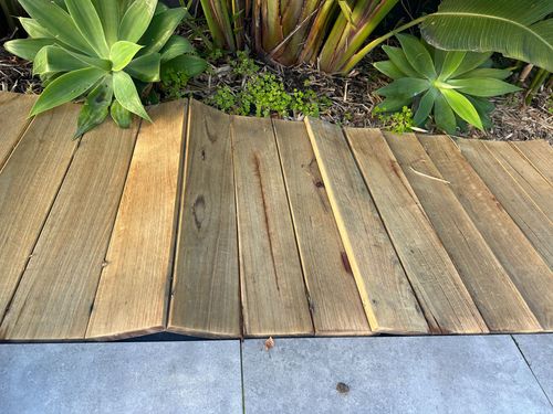 IMG_6341.jpeg IMG_6341.jpeg