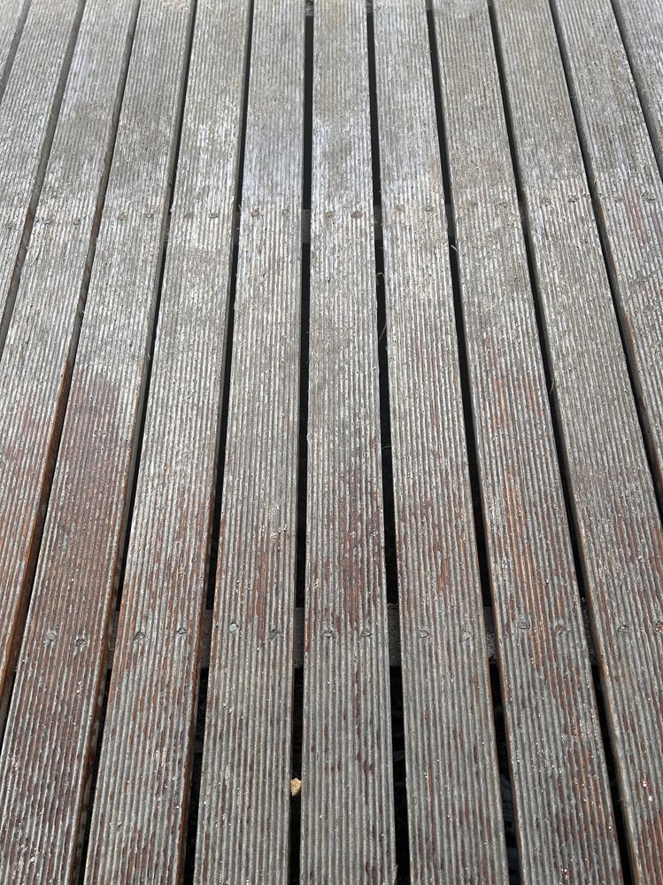 IMG_3875.jpg IMG_3875.jpg