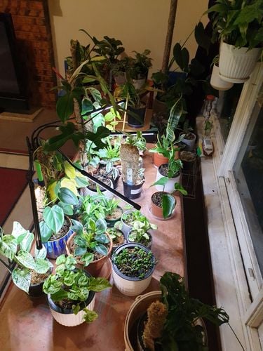 16375769285035495793143923569731.jpg 16375769285035495793143923569731.jpg