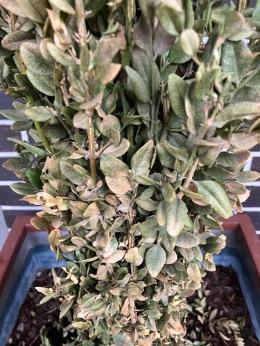 IMG_1496.jpeg IMG_1496.jpeg