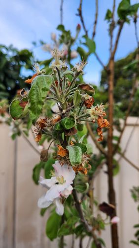 1000029970.jpg 1000029970.jpg