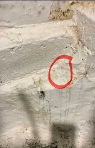 IMG_6618.jpeg IMG_6618.jpeg