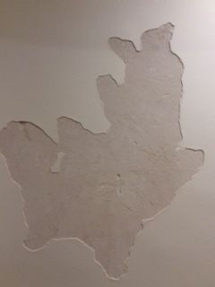 IMG_1975.JPG IMG_1975.JPG