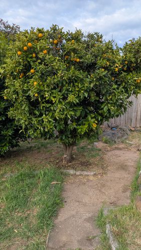 1000044101.jpg 1000044101.jpg