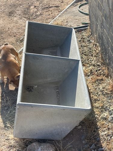 IMG_EB405D3F-F196-473A-B124-30310CD4CD0E.jpeg IMG_EB405D3F-F196-473A-B124-30310CD4CD0E.jpeg