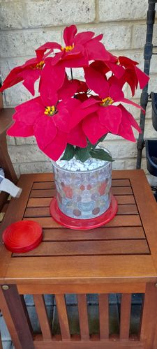 20220126_124704.jpg 20220126_124704.jpg