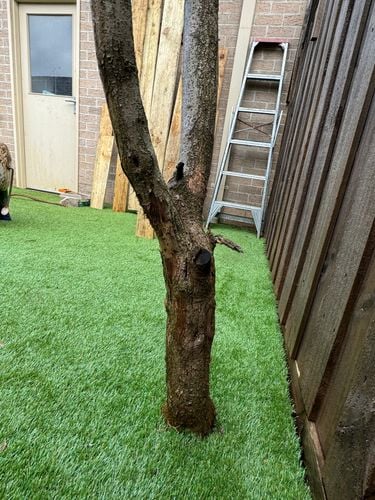 IMG_4545.jpeg IMG_4545.jpeg