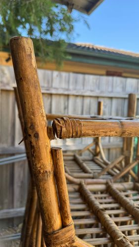 IMG_3133.jpeg IMG_3133.jpeg