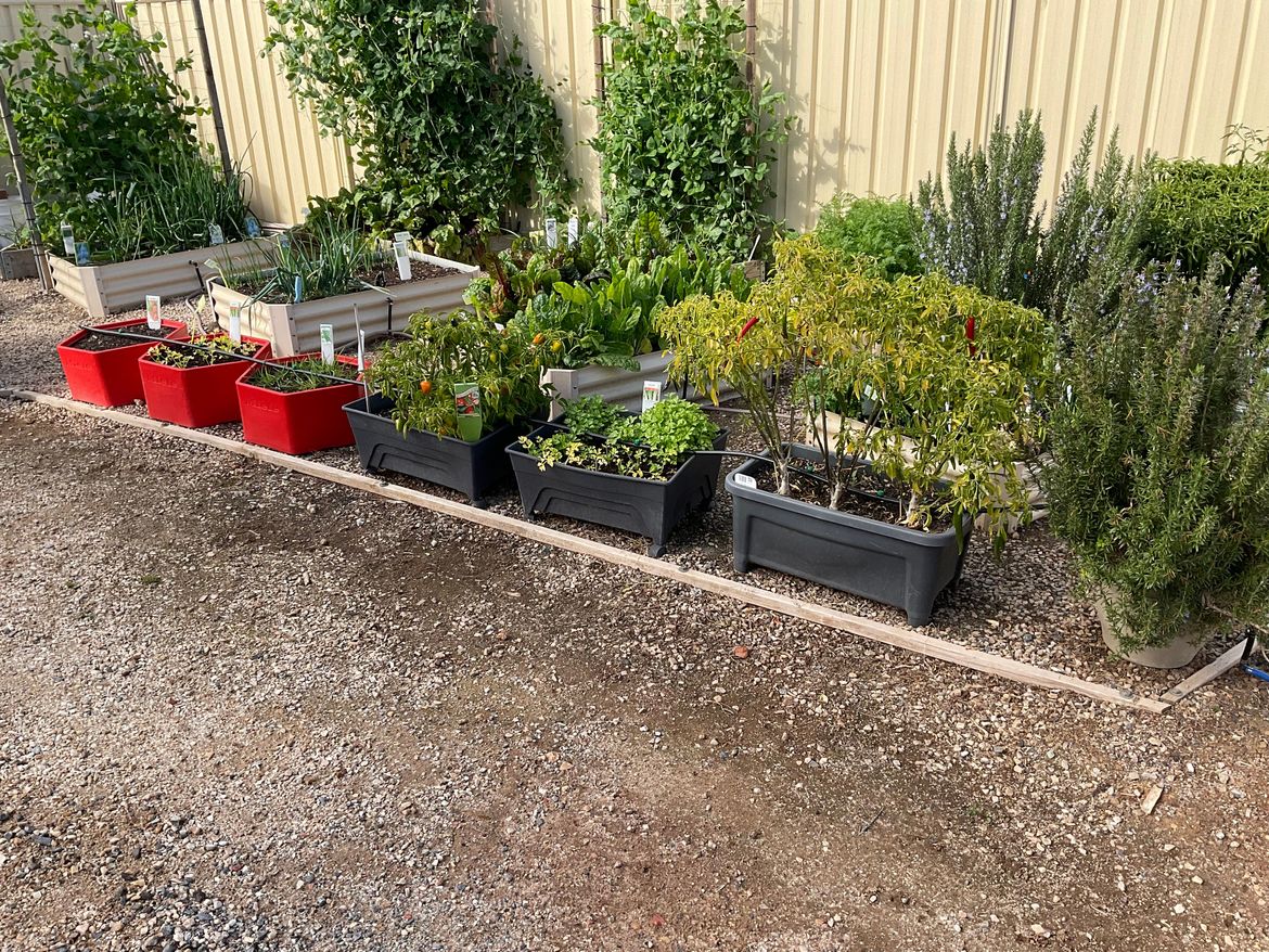 IMG_0784.jpeg IMG_0784.jpeg