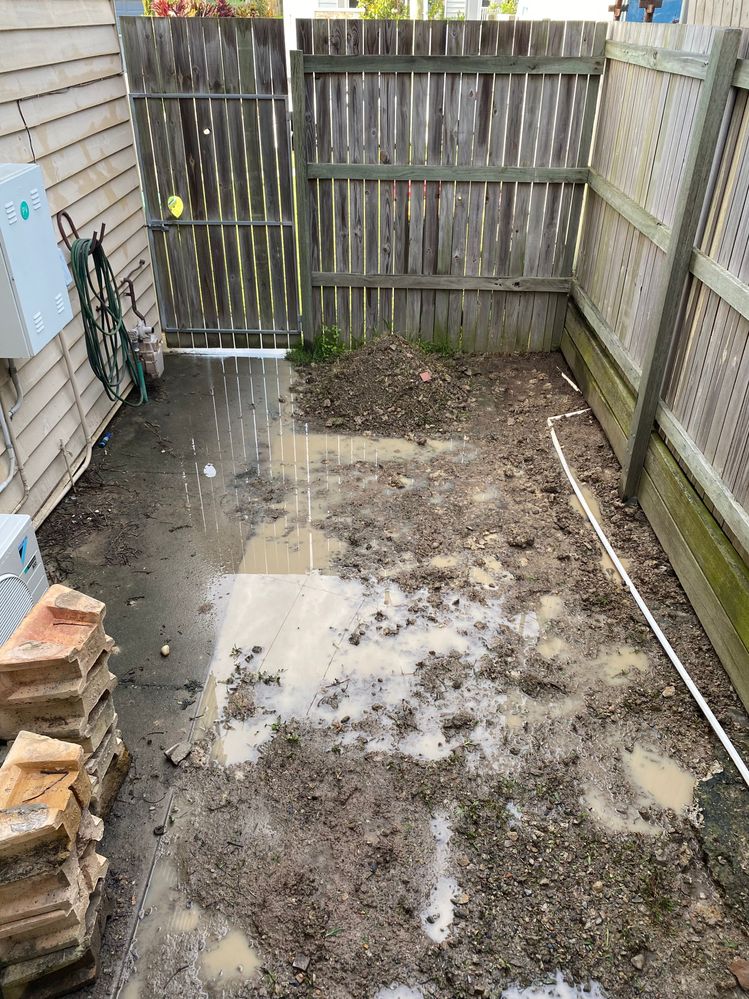 6C62336E-8244-4721-B6C6-B29C3B0BCB3A.jpeg 6C62336E-8244-4721-B6C6-B29C3B0BCB3A.jpeg