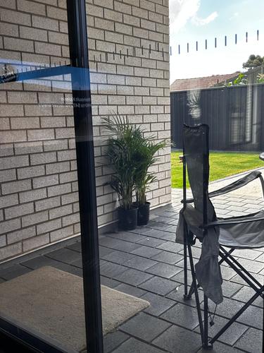 IMG_2362.jpeg IMG_2362.jpeg